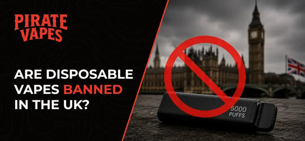 ARE DISPOSABLE VAPES BANNED IN THE UK