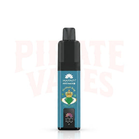 Box of 10 Hayati Pro Max+ 6K Puffs Souvenir Edition