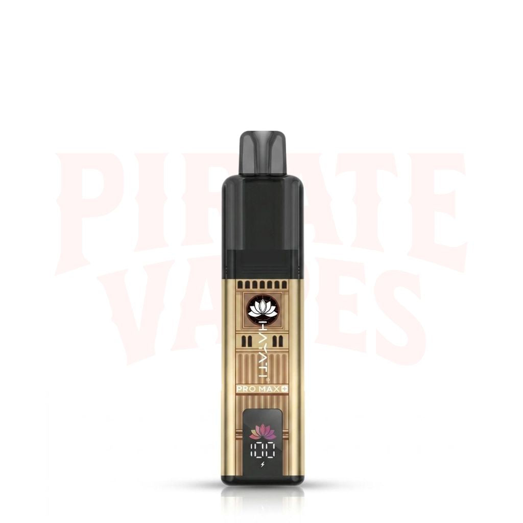 Box of 5 Hayati Pro Max+ 6K Puffs Souvenir Edition Kit 