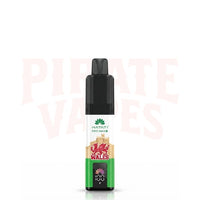 Hayati Pro Max Plus 6000 Wales Souvenir Edition