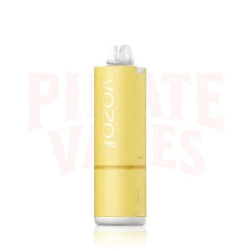 Vozol Mate 54K Prefilled Pod Kit