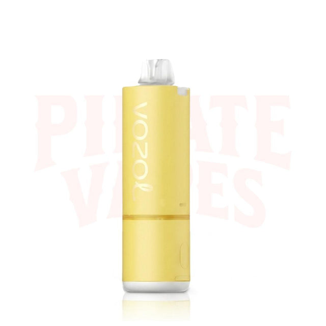 Vozol Mate 54K Prefilled Pod Kit