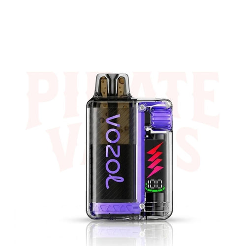 Vozol Vista Plug 10000 Puffs Vape Kit